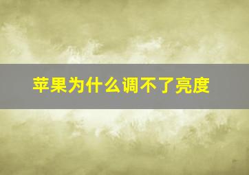 苹果为什么调不了亮度