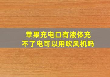 苹果充电口有液体充不了电可以用吹风机吗