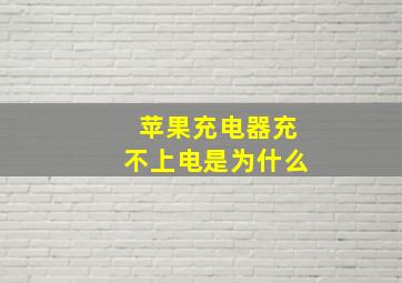 苹果充电器充不上电是为什么