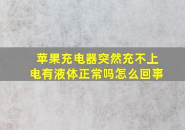 苹果充电器突然充不上电有液体正常吗怎么回事