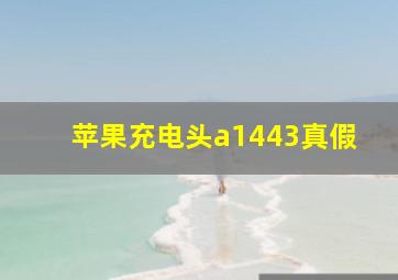 苹果充电头a1443真假