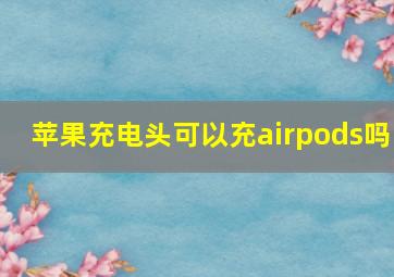 苹果充电头可以充airpods吗