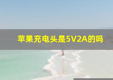 苹果充电头是5V2A的吗