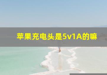 苹果充电头是5v1A的嘛