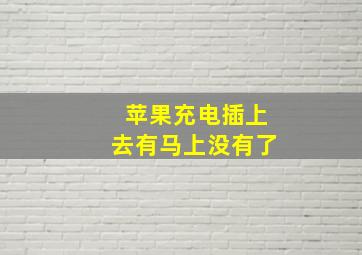 苹果充电插上去有马上没有了