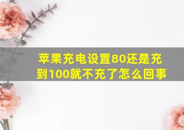 苹果充电设置80还是充到100就不充了怎么回事