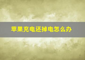 苹果充电还掉电怎么办