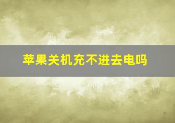 苹果关机充不进去电吗