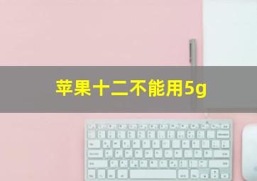 苹果十二不能用5g