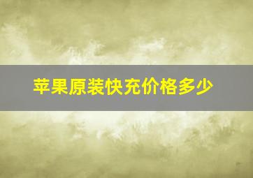 苹果原装快充价格多少