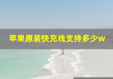 苹果原装快充线支持多少w