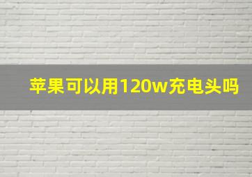 苹果可以用120w充电头吗