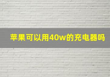 苹果可以用40w的充电器吗