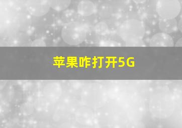 苹果咋打开5G