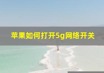 苹果如何打开5g网络开关