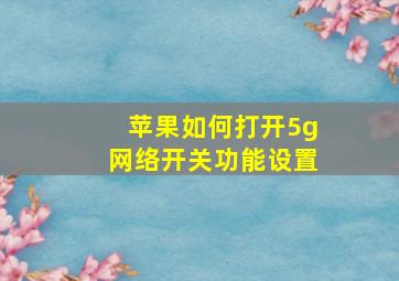 苹果如何打开5g网络开关功能设置