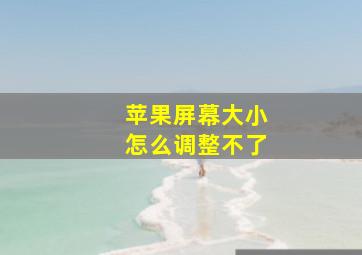 苹果屏幕大小怎么调整不了