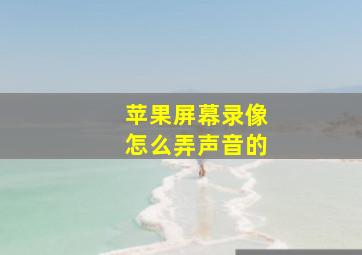 苹果屏幕录像怎么弄声音的