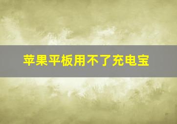 苹果平板用不了充电宝