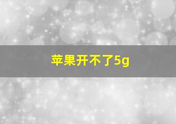 苹果开不了5g