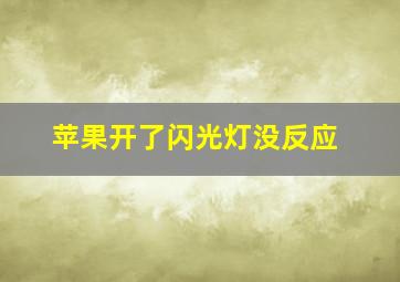 苹果开了闪光灯没反应