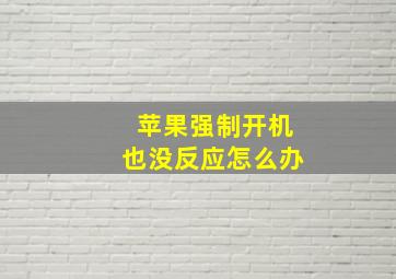 苹果强制开机也没反应怎么办