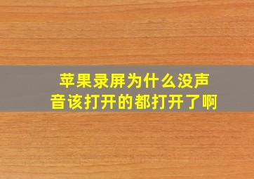 苹果录屏为什么没声音该打开的都打开了啊