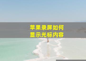 苹果录屏如何显示光标内容