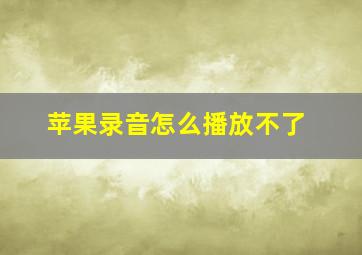 苹果录音怎么播放不了