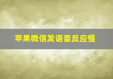 苹果微信发语音反应慢