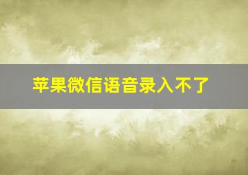 苹果微信语音录入不了