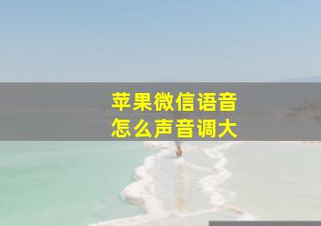 苹果微信语音怎么声音调大