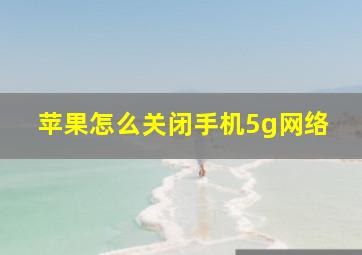 苹果怎么关闭手机5g网络