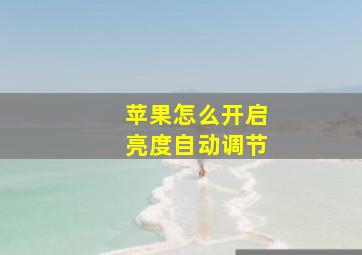 苹果怎么开启亮度自动调节