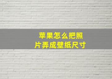 苹果怎么把照片弄成壁纸尺寸