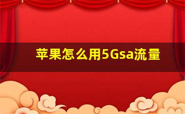 苹果怎么用5Gsa流量