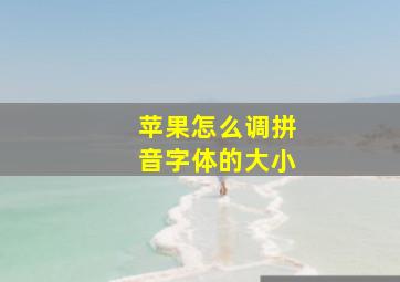 苹果怎么调拼音字体的大小