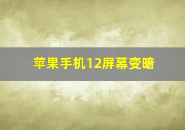 苹果手机12屏幕变暗