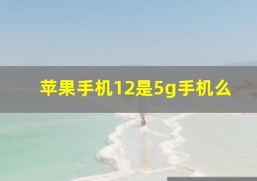 苹果手机12是5g手机么