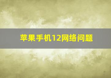 苹果手机12网络问题