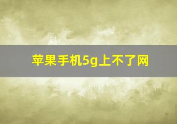 苹果手机5g上不了网