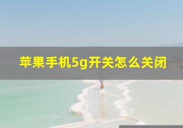 苹果手机5g开关怎么关闭