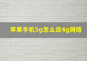 苹果手机5g怎么改4g网络