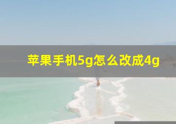 苹果手机5g怎么改成4g