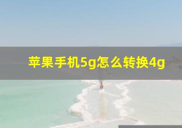 苹果手机5g怎么转换4g