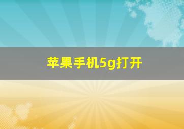 苹果手机5g打开