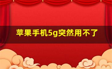 苹果手机5g突然用不了