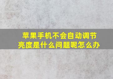 苹果手机不会自动调节亮度是什么问题呢怎么办