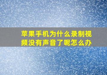 苹果手机为什么录制视频没有声音了呢怎么办