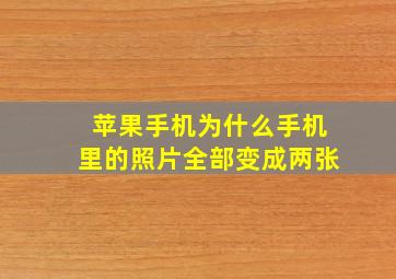 苹果手机为什么手机里的照片全部变成两张